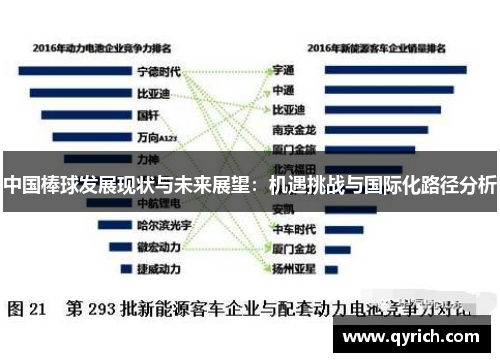 中国棒球发展现状与未来展望：机遇挑战与国际化路径分析